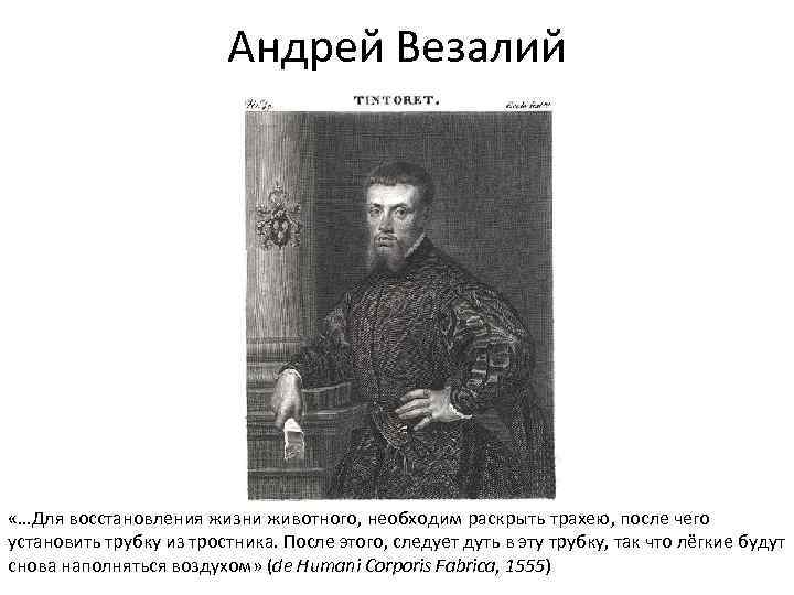 Андрей Везалий «…Для восстановления жизни животного, необходим раскрыть трахею, после чего установить трубку из