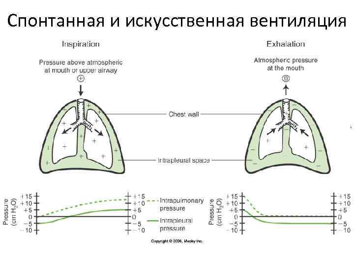 Ордс клинические рекомендации фар