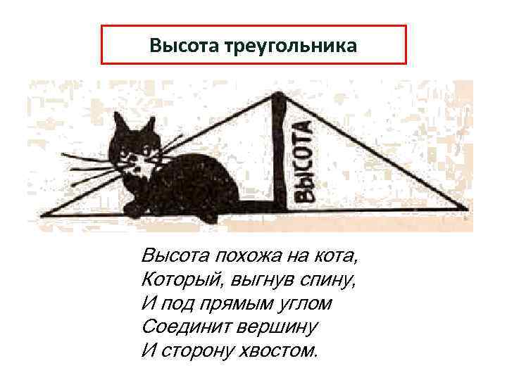 Высота треугольника Высота похожа на кота, Который, выгнув спину, И под прямым углом Соединит