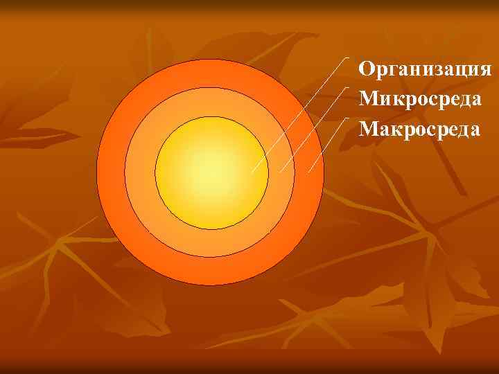 Организация Микросреда Макросреда 