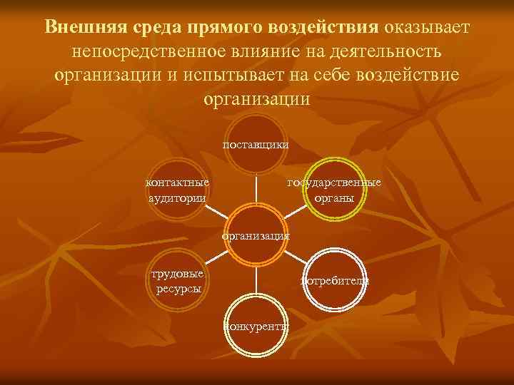 Внешняя среда прямого воздействия оказывает непосредственное влияние на деятельность организации и испытывает на себе