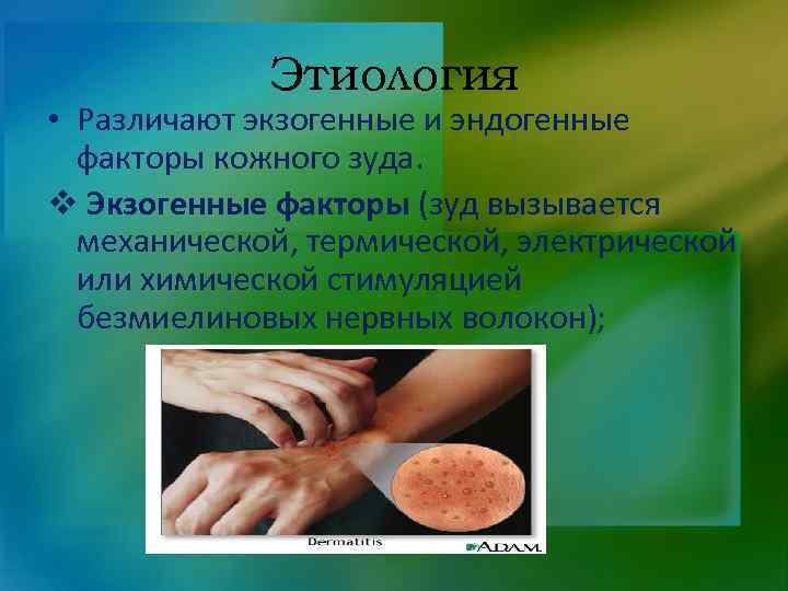 Этиология • Различают экзогенные и эндогенные факторы кожного зуда. v Экзогенные факторы (зуд вызывается