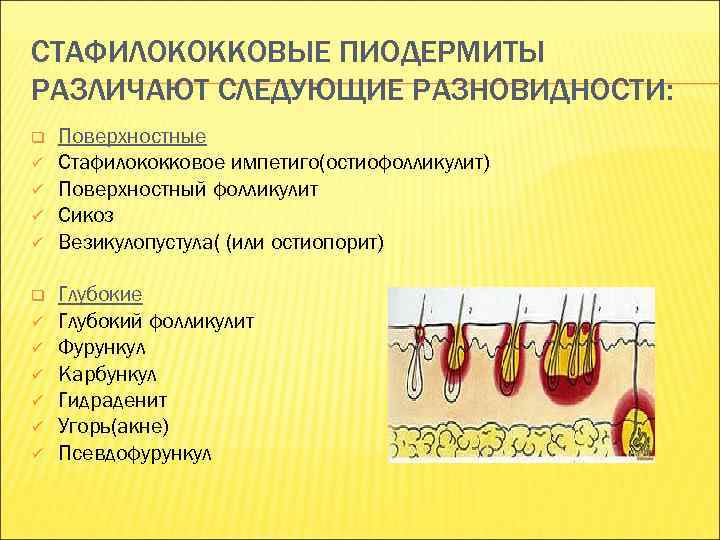 СТАФИЛОКОККОВЫЕ ПИОДЕРМИТЫ РАЗЛИЧАЮТ СЛЕДУЮЩИЕ РАЗНОВИДНОСТИ: q ü ü ü Поверхностные Стафилококковое импетиго(остиофолликулит) Поверхностный фолликулит