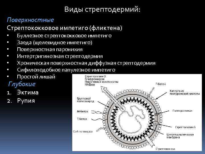 Виды стрептодермий: Поверхностные Стрептококковое импетиго (фликтена) • • Буллезное стрептококковое импетиго Заеда (щелевидное импетиго)