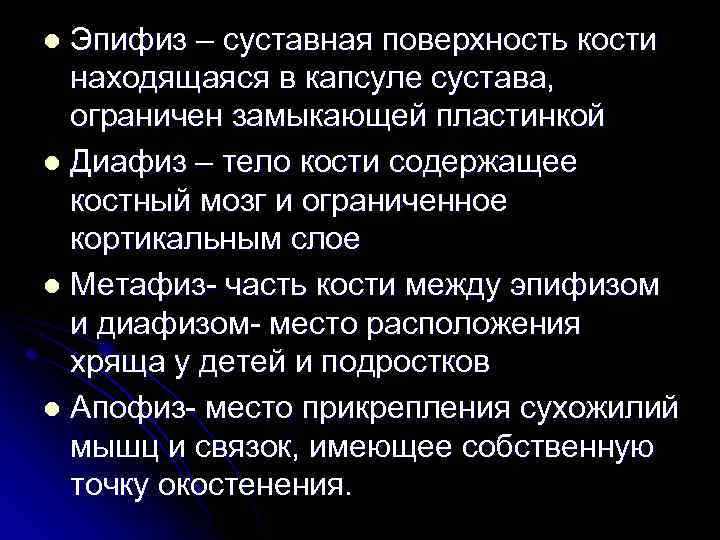 Эпифиз – суставная поверхность кости находящаяся в капсуле сустава, ограничен замыкающей пластинкой l Диафиз