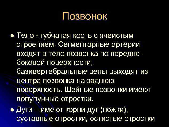 Позвонок Тело губчатая кость с ячеистым строением. Сегментарные артерии входят в тело позвонка по