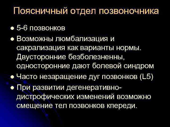 Поясничный отдел позвоночника 5 6 позвонков l Возможны люмбализация и сакрализация как варианты нормы.