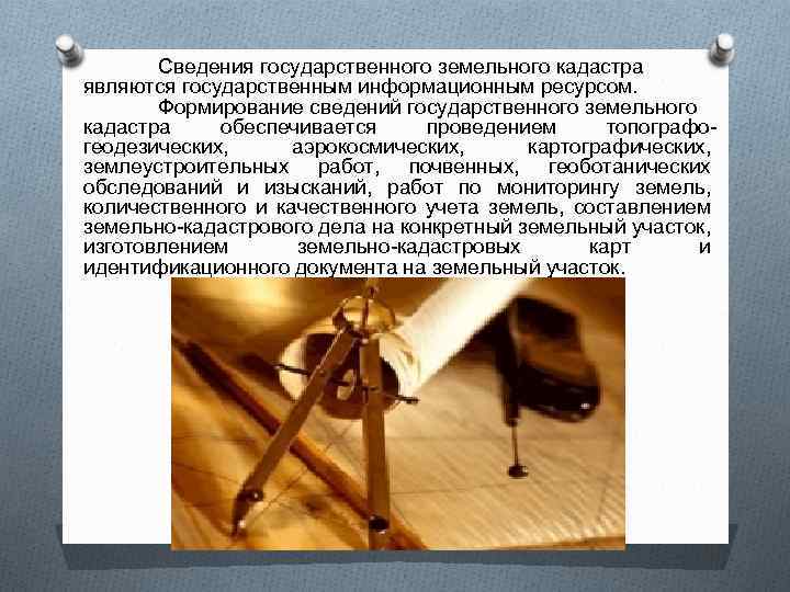 Сведения государственного земельного кадастра являются государственным информационным ресурсом. Формирование сведений государственного земельного кадастра обеспечивается