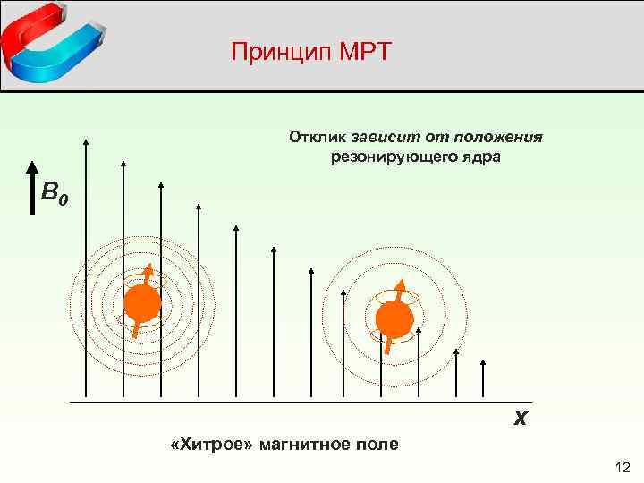 Принцип МРТ Отклик зависит от положения резонирующего ядра B 0 х «Хитрое» магнитное поле
