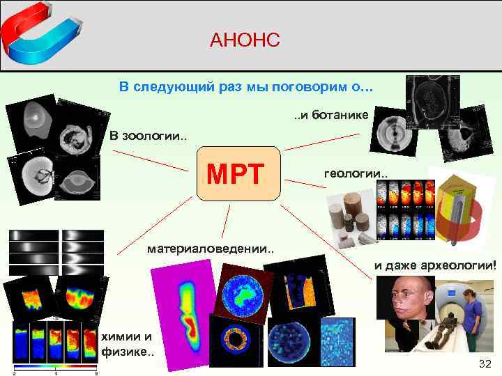 АНОНС В следующий раз мы поговорим о…. . и ботанике В зоологии. . МРТ