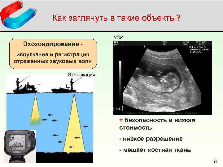Как заглянуть в такие объекты? УЗИ Эхозондирование испускание и регистрация отраженных звуковых волн Эхолокация