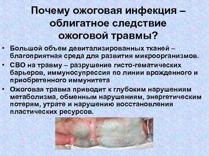 Почему ожоговая инфекция – облигатное следствие ожоговой травмы? • Большой объем девитализированных тканей –