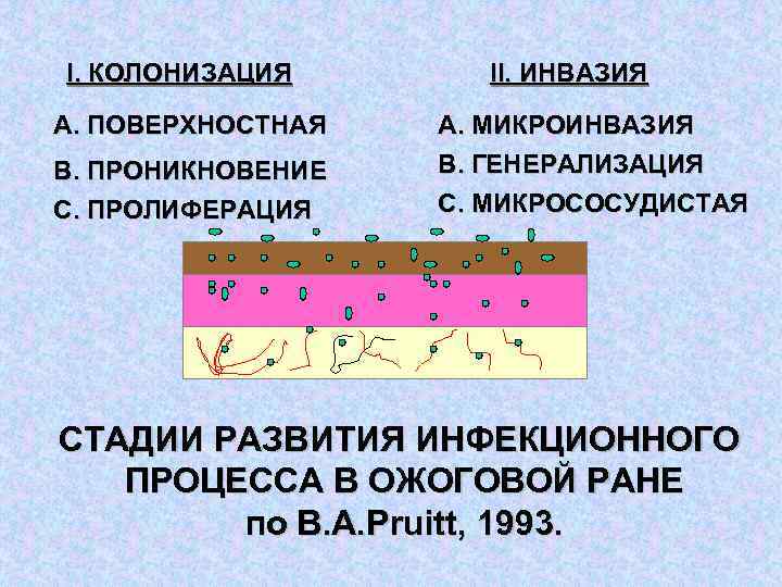 I. КОЛОНИЗАЦИЯ A. ПОВЕРХНОСТНАЯ B. ПРОНИКНОВЕНИЕ C. ПРОЛИФЕРАЦИЯ II. ИНВАЗИЯ A. МИКРОИНВАЗИЯ B. ГЕНЕРАЛИЗАЦИЯ