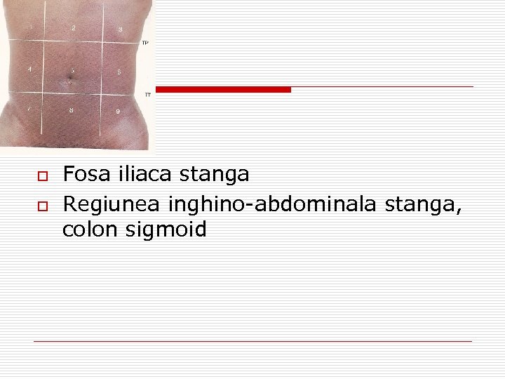 o o Fosa iliaca stanga Regiunea inghino-abdominala stanga, colon sigmoid 