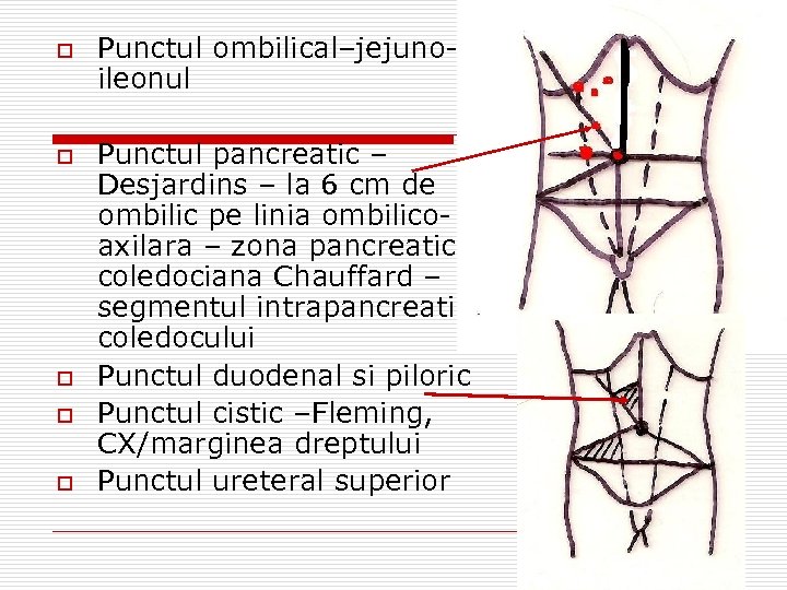 o o o Punctul ombilical–jejunoileonul Punctul pancreatic – Desjardins – la 6 cm de