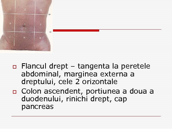 o o Flancul drept – tangenta la peretele abdominal, marginea externa a dreptului, cele