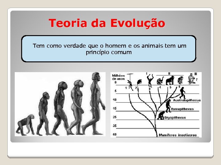 Teoria da Evolução Tem como verdade que o homem e os animais tem um