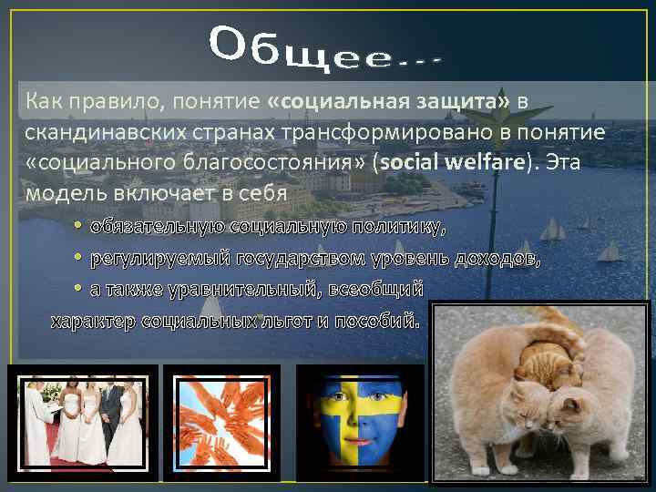 Как правило, понятие «социальная защита» в скандинавских странах трансформировано в понятие «социального благосостояния» (social