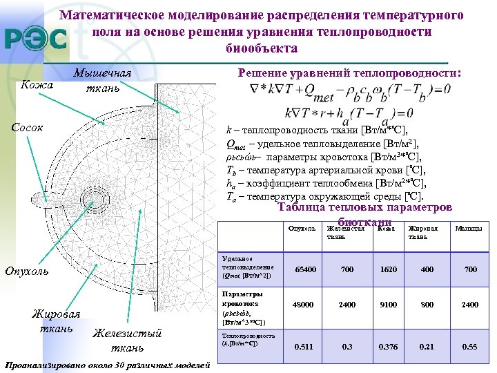 Математическое моделирование распределения температурного поля на основе решения уравнения теплопроводности биообъекта Кожа Мышечная ткань