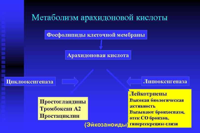 Схема арахидоновой кислоты