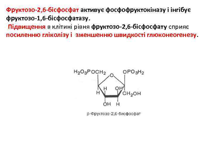 Фруктозо-2, 6 -бісфосфат активує фосфофруктокіназу і інгібує фруктозо-1, 6 -бісфосфатазу. Підвищення в клітині рівня