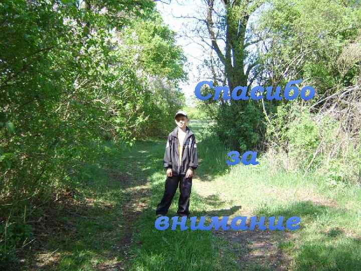 Спасибо за внимание 