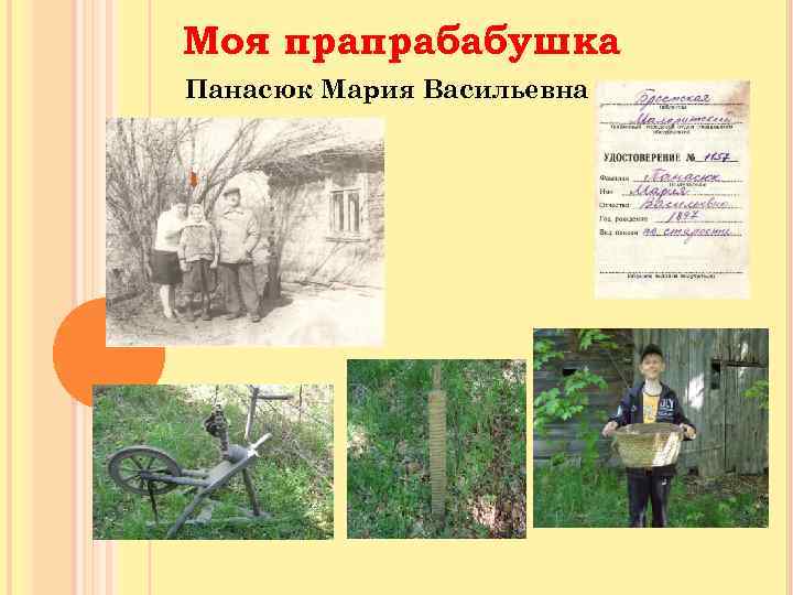 Моя прапрабабушка Панасюк Мария Васильевна 