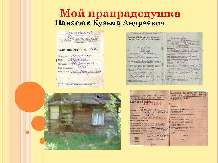 Мой прапрадедушка Панасюк Кузьма Андреевич 