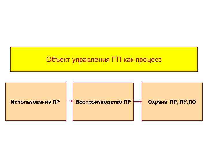 Объект управления ПП как процесс Использование ПР Воспроизводство ПР Охрана ПР, ПУ, ПО 