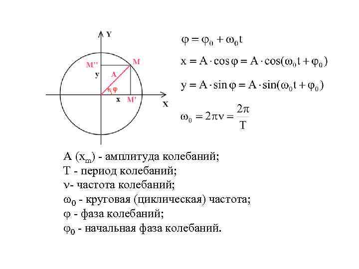 А (хm) - амплитуда колебаний; Т - период колебаний; n- частота колебаний; 0 -
