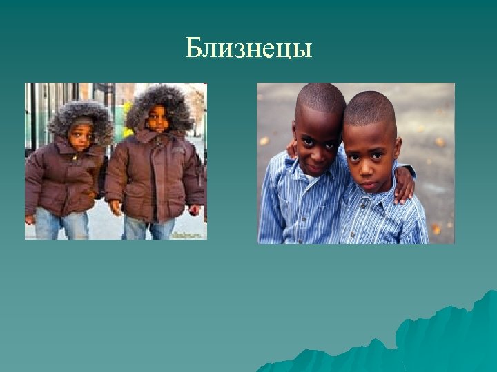 Близнецы 