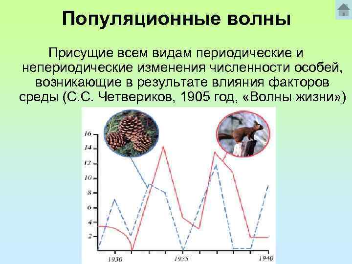 Популяционные волны Присущие всем видам периодические и непериодические изменения численности особей, возникающие в результате