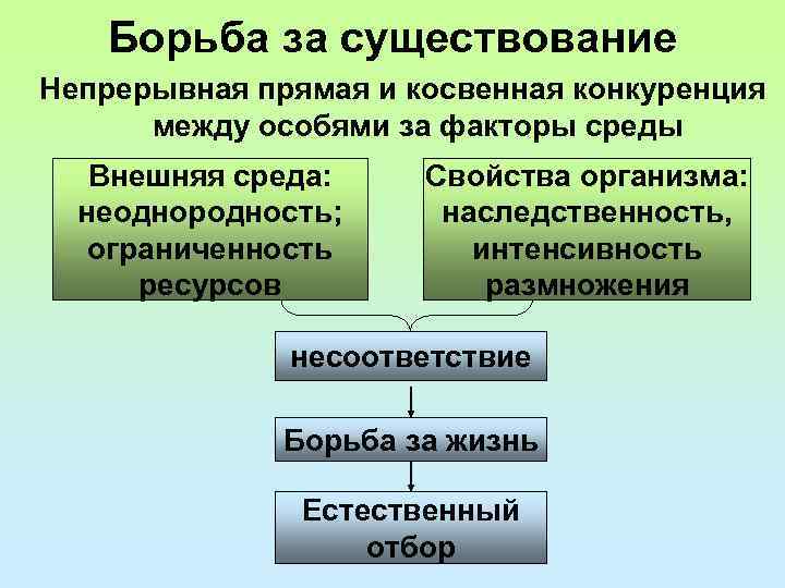Борьба за существование Непрерывная прямая и косвенная конкуренция между особями за факторы среды Внешняя