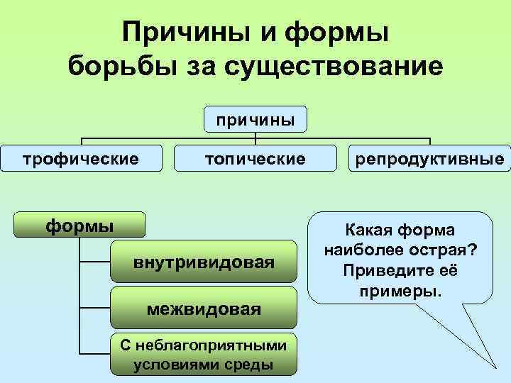 Причины и формы борьбы за существование причины трофические топические формы внутривидовая межвидовая С неблагоприятными