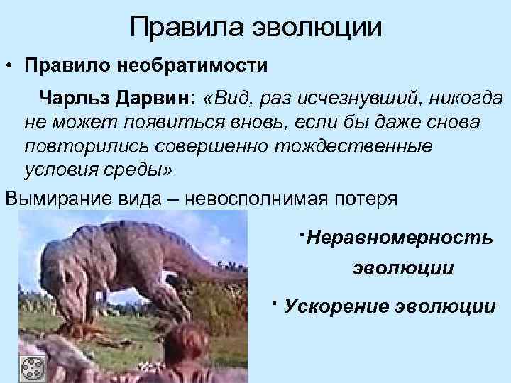 Правила эволюции • Правило необратимости Чарльз Дарвин: «Вид, раз исчезнувший, никогда не может появиться