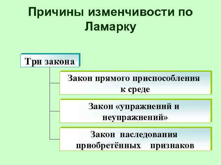 Причины изменчивости по Ламарку Три закона Закон прямого приспособления к среде Закон «упражнений и