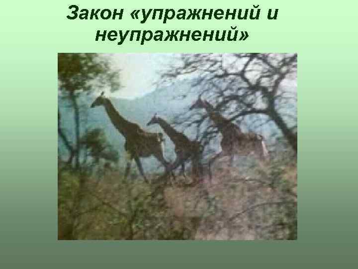 Закон «упражнений и неупражнений» 