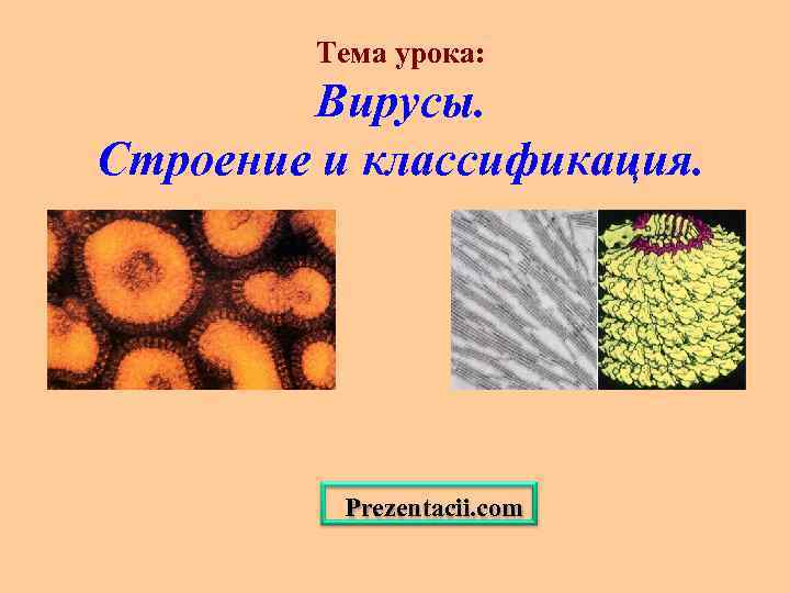Тема урока: Вирусы. Строение и классификация. Prezentacii. com 