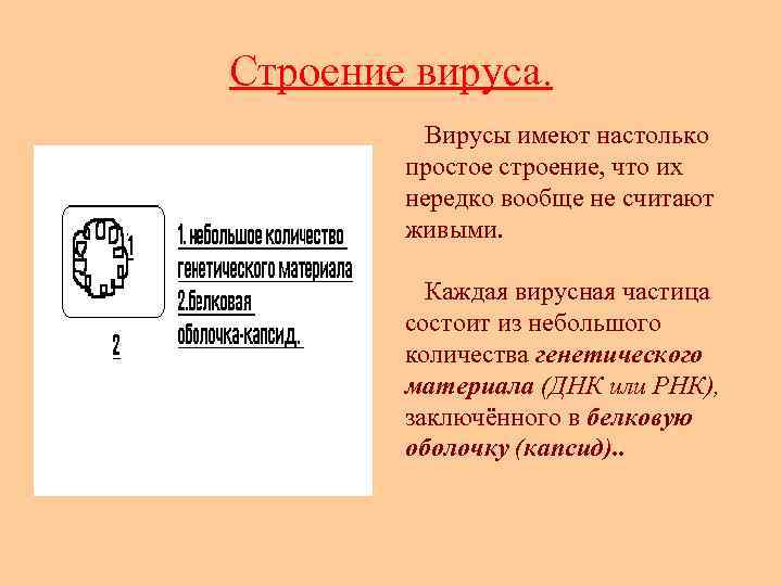 Мал состоит. Вирус состоит из генетического материала и. Строение вирусов таблица. Из чего состоит капсид вируса. Строение простого вируса рисунок.