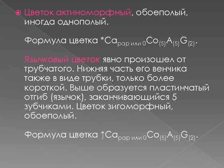  Цветок актиноморфный, обоеполый, иногда однополый. Формула цветка *Саpap или 0 Со(5)А(5)G(2). Язычковый цветок