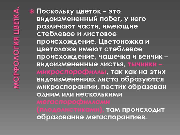 МОРФОЛОГИЯ ЦВЕТКА. Поскольку цветок – это видоизмененный побег, у него различают части, имеющие стеблевое