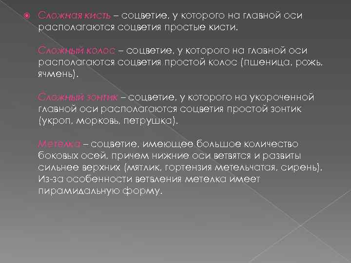  Сложная кисть – соцветие, у которого на главной оси располагаются соцветия простые кисти.