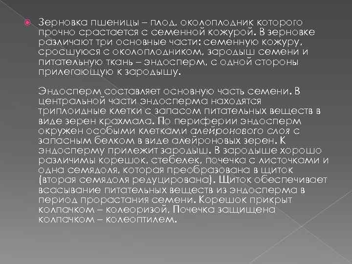  Зерновка пшеницы – плод, околоплодник которого прочно срастается с семенной кожурой. В зерновке