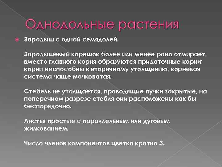 Однодольные растения Зародыш с одной семядолей. Зародышевый корешок более или менее рано отмирает, вместо