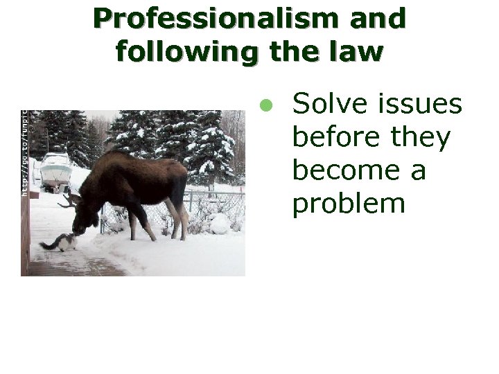 Professionalism and following the law l Solve issues before they become a problem 