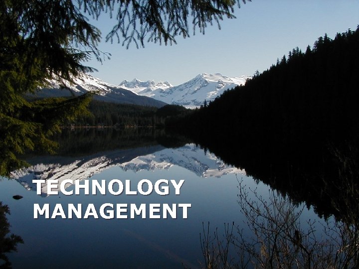 TECHNOLOGY MANAGEMENT 