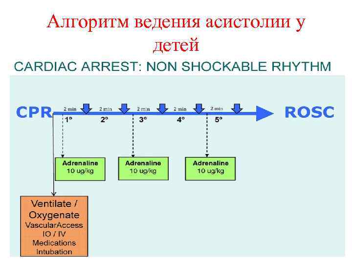 Алгоритм ведения асистолии у детей 