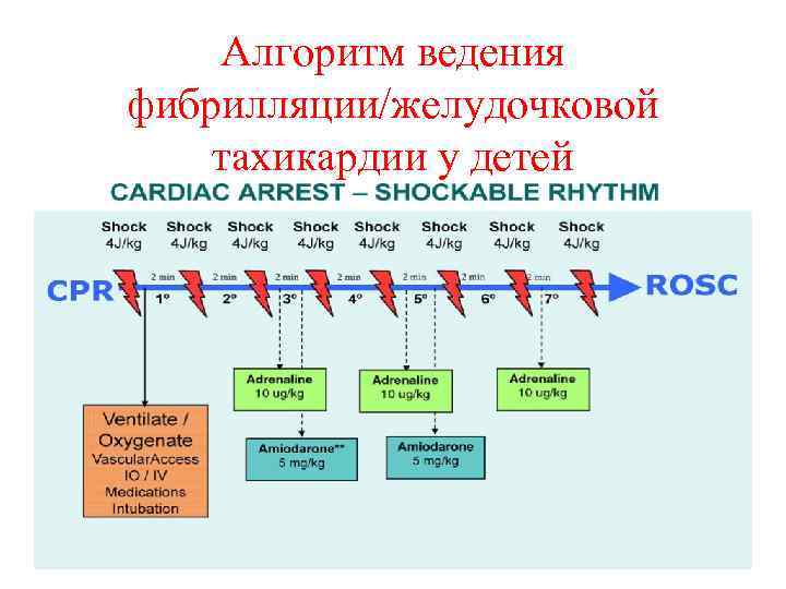 Алгоритм ведения фибрилляции/желудочковой тахикардии у детей 