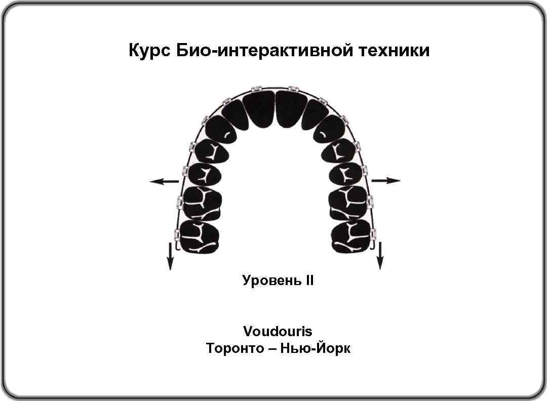 Курс Био-интерактивной техники Уровень II Voudouris Торонто – Нью-Йорк 