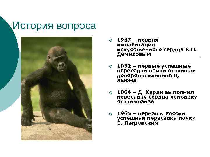 История вопроса ¡ 1937 – первая имплантация искусственного сердца В. П. Демиховым ¡ 1952